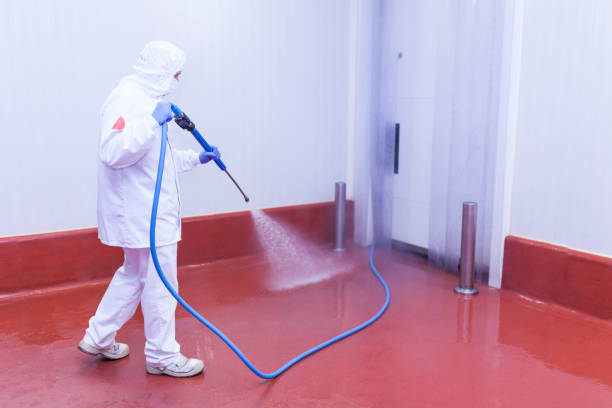 Pre-Holiday Cleaning in Seward, AK